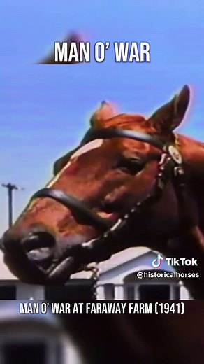 The Legendary Man O’ War in Color