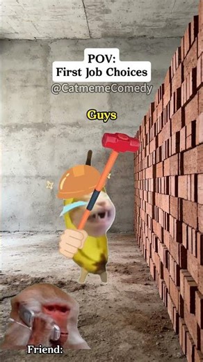 Cat meme Comedy😺First Job Choices #cat #shorts #funny cat videos