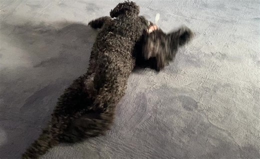 Muscle Mat on Reels | Facebook