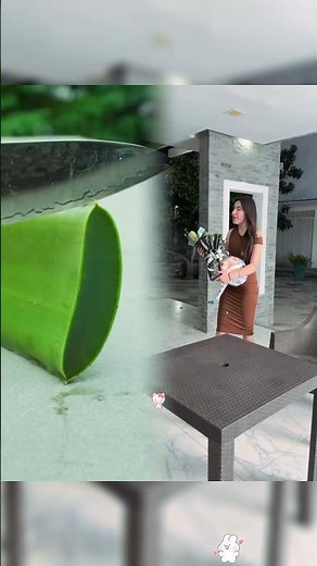 #funny #lifeisbutadream #funnyhumor