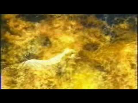 Touch You Once, Touch You Twice......