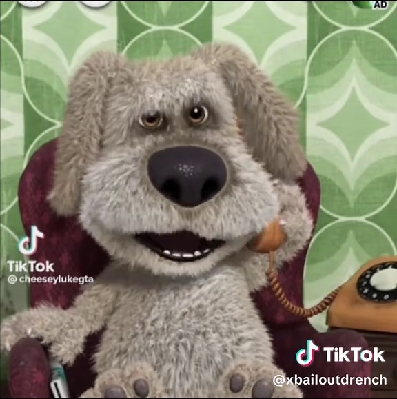 Nuevo Leaf y Diversión en FiveM