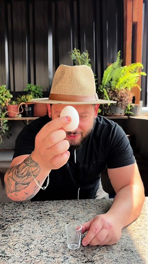 Chick Hatching Experiment with Milk