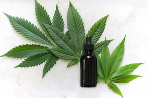 How to Make Cannabis Tinctures – Recipe Guide | TheCannaSchool