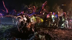 VEHICLE COLLISION INTO FALLEN TREE OCCURS FRIDAY NIGHT IN NEWBURY PARK: AT 7:12pm on Friday night, February 24 of 2023, the Ventura County Sheriff's Department, Ventura County Fire Department and AMR paramedics were dispatched to the intersection of Old Conejo Road and Ruth Drive in Newbury Park for a vehicle collision. A driver had crashed into a tree that had just fallen. The driver said he was the first one who had come along after the tree fell. He was not injured. Heavy rain had been fallin