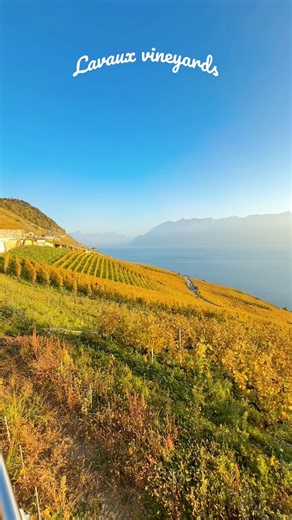 Lavaux is a terraced winegrowing region along the northern shores of Lake Geneva in Switzerland. Recognized as a UNESCO World Heritage Site, it is famous for its steep vineyards that date back to Roman times and were further developed by monks in the Middle Ages. The area is renowned for producing excellent white wines, especially from the Chasselas grape, and offers stunning panoramic views of the lake and Alps. Hike details: - start point : Epesses village 🚶‍♂️5.5 Km 🕐 1H26Mins - End point: 