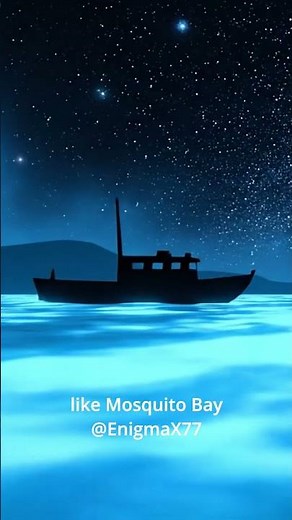 Bioluminescent Bays That Glow Blue – Ocean Explained