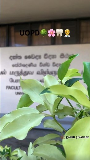 Faculty of Dental Sciences University of Peradeniya | UOPD🌳🌸🦷👨‍⚕️ 05 #university #dentalstudent