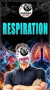 Respiration in Humans | SSC Biology