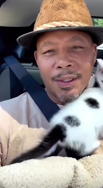 Terrence Howard (@terrencehowardofficail)’s videos with original sound - Terrence Howard