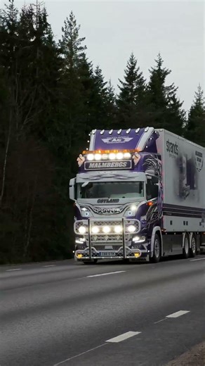 Malmbergs åkeri #scania #viral #fyp #foryoypage #video