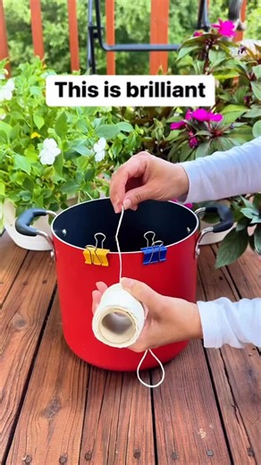 Liz Richards | Daily Original Vids on Instagram: "How to water plants when you’re going out of town #plants #gardeningtips #flowers #outdoors"