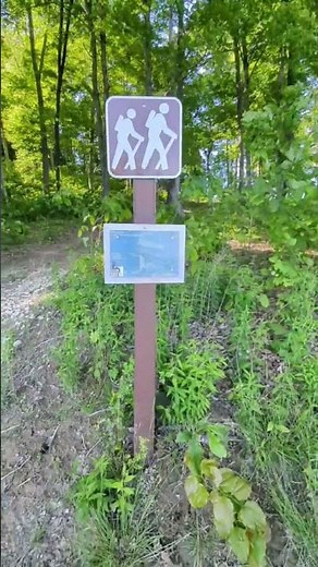 Best kept hiking secret near the water #trail #hiking #explore