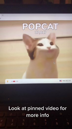 We ranked up to 22nd #popcatclick #popcatarmy #meme #wedidit #fyp #joinme #popcat #USA #army #join @mrbeast help us out