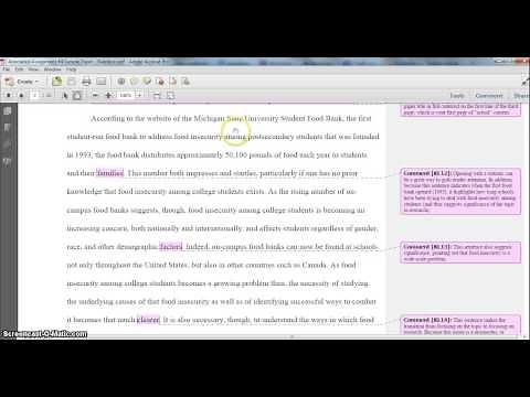 Critique of a Sample Research Prospectus Part I