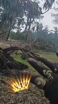Tree FELL From Crazy Storm with 100km/h winds!🌳🌬️😱