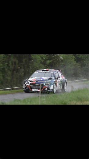 Fabien Despois - Autocourse 2025