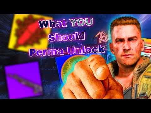 Top Five Items To Perma Unlock In BO7 Zombies