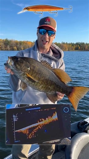 3.8K views · 45 reactions | Fall  fishing with a Rapala Shadow Rap...