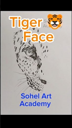 Tiger Face drawing