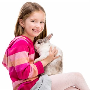 Congressman Used Campaign Funds to Pay Pet in Cabin Fees for His Rabbit - View from the Wing