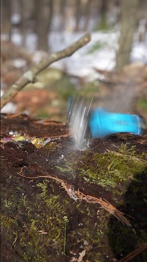 Hatsan Model 135 Vortex QE Carnivore