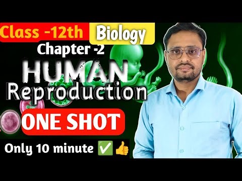 Human reproduction | Chapter 2 biology class 12 | one shot revision | by- Sarvesh Prabhakar sir