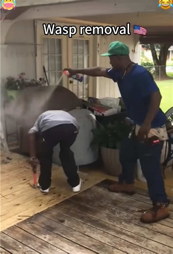 wasp nest removal #SummerLooks#BehindTheSong#dontleaveme#dadsoftiktok#USA