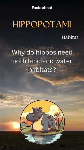 Hippo Fact 40 - Why do hippos need both land and water habitats?