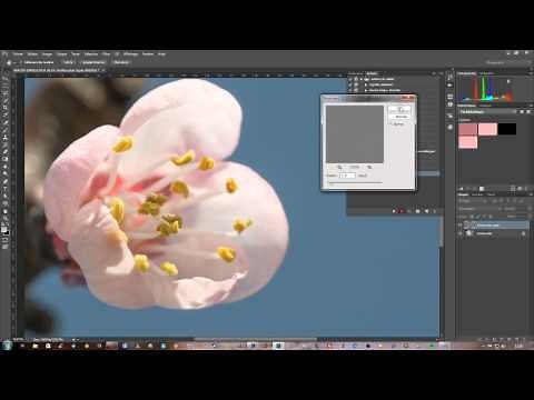 Photoshop CC - Créer un script et l'appliquer