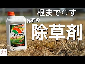 【ラウンドアップ】根まで枯らす悪魔。除草剤を使って雑草退治