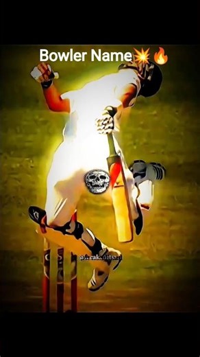 cricket history Best bouncer in the world #shorts #cricket