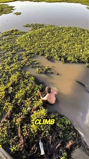 He Unblocked a Massive Dam… Then This Happened