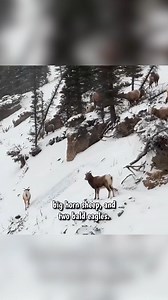 137K views · 2.8K reactions | The Best Train View in the Canadian Rockies! #reelsfacebook #couple #travel #camping #canada #train | Kara and Nate | Facebook
