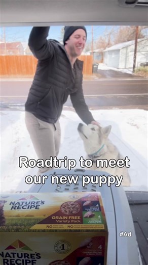 Meeting Hugo's New Brother Barry with Nature's Recipe Dog Food