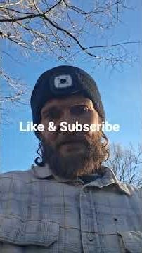 Another try with the Pyrography...