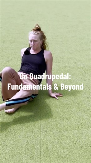 Course Launch: On Quadrupedal Fundamentals & Beyond