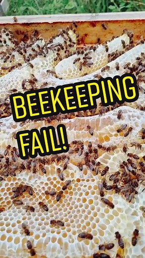 Beekeeping Fail Compilation | Funny Beekeeper Mistakes