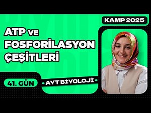 41) ATP and Phosphorylation Types | Energy Transformations in Living Organisms | 12th Grade AYT B...