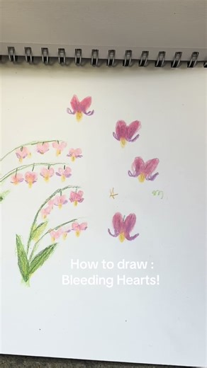How to Draw Bleeding Hearts Flower Tutorial