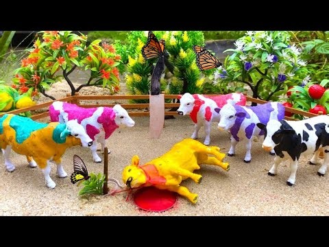 Proses Simulasi Potong Sapi Qurban Moo !! Wadidaw Proses Cow Cartoon @thesapimoo