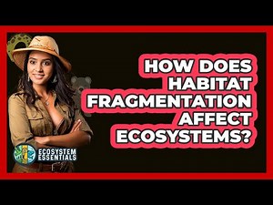 How Does Habitat Fragmentation Affect Ecosystems?