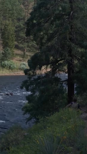 17 reactions · 11 shares | My brand new album, King Of The World, is coming your way Oct 24th. ⛵️ Pre-save/order it now and listen to “One Thing I Ain’t Been.” | Billy Currington | Facebook