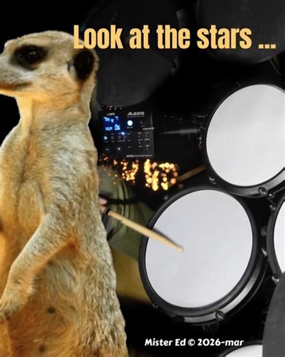 SURRICATE ColdPlay YELLOW - Drummer #shorts #alesis #nitro #max