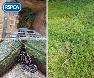 14K views · 176 reactions |  A caller was in for a ssshock when...