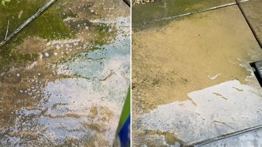 The £1.50 trick to remove grot on paving slabs in 10 minutes - it's a winner