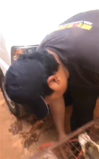 4.1K views · 66 reactions | Another female caught yesterday and taken to Noahs care shelter, for animal birth control. Once the dog has recovered a few days after being operated she will be released back to her given area. Thankyou to noahs for operating her. | ASA Outreach | Facebook