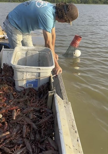 Discover the Source of Danbury, TX Crawfish