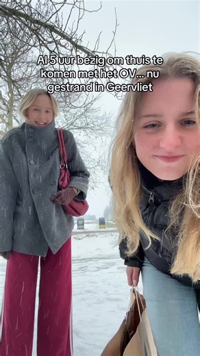 Leuk die sneeuw… #fyp #sneeuw #ov #foryoupage