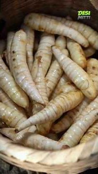 देखिए कैसे नदी किनारे बनते हैं अरारोट नूडल्स | Traditional Arrowroot Noodles Making Process